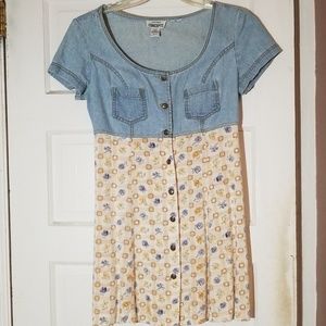 Vintage button down dress